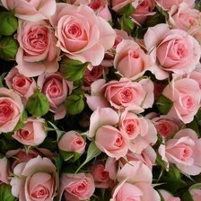 Схема вышивки «№303950»