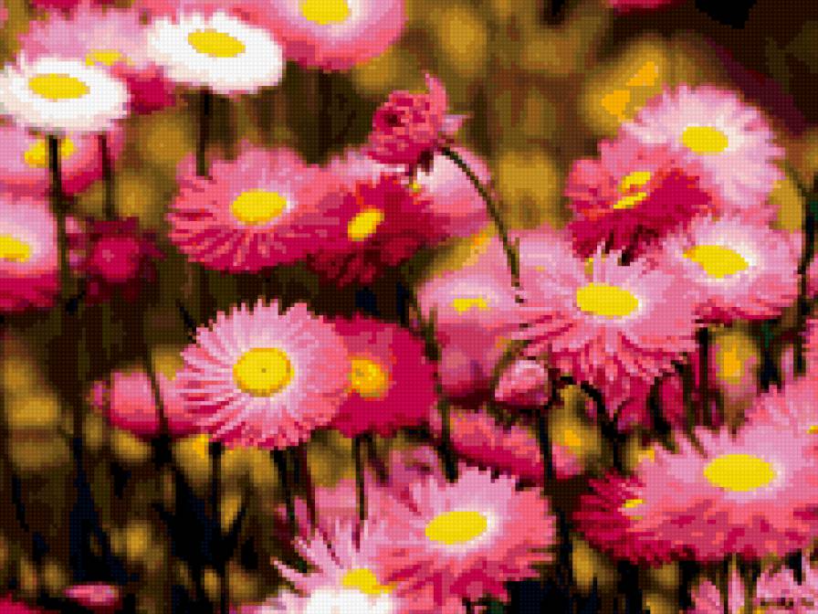 8132111 - предпросмотр