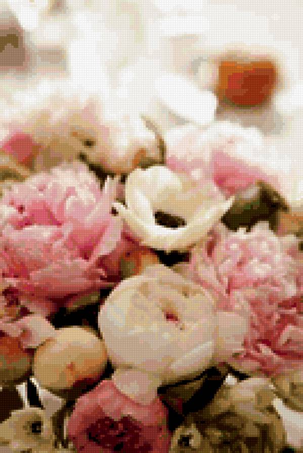 №304001 - цветы, пионы - предпросмотр