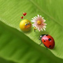 Схема вышивки «№304003»