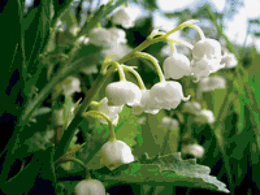 №304013 - предпросмотр