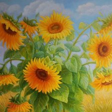 Схема вышивки «солнечный цветок»