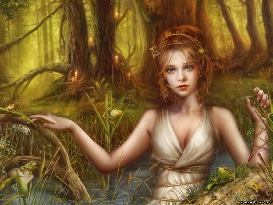 №304078 - оригинал