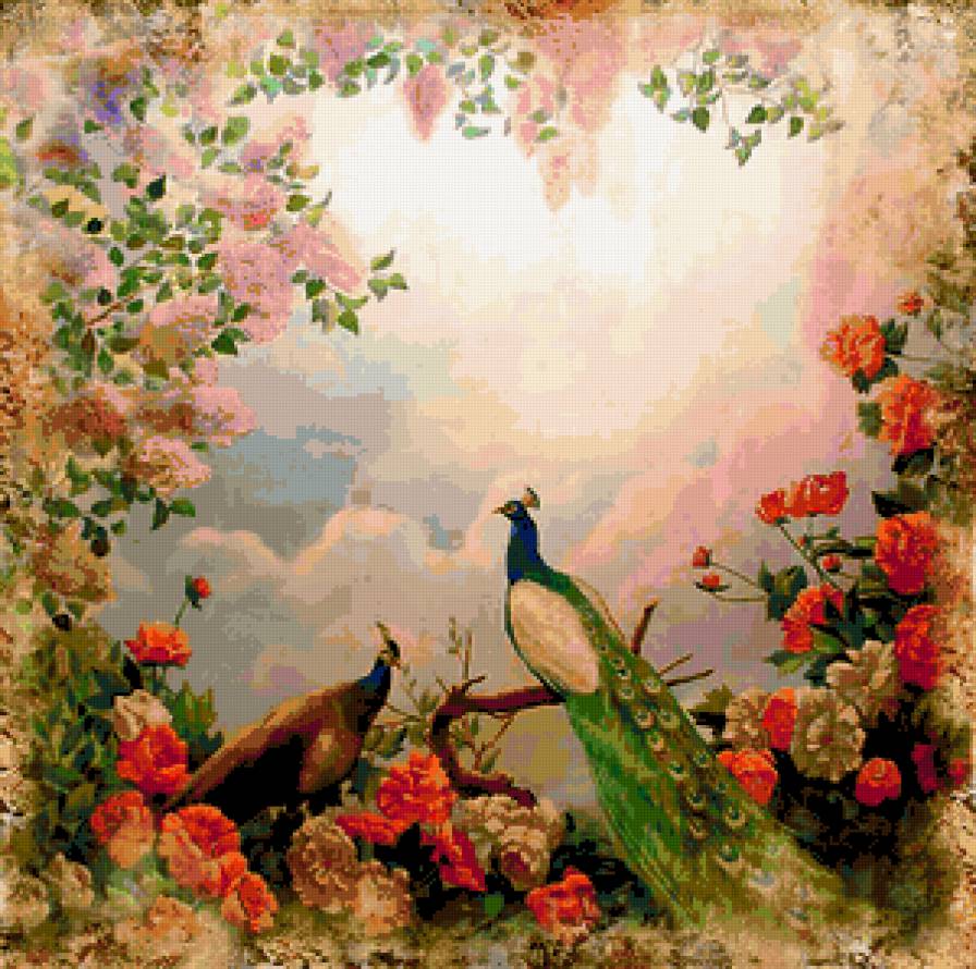 павлины 789 - предпросмотр