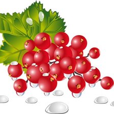 Схема вышивки «красная смородина»