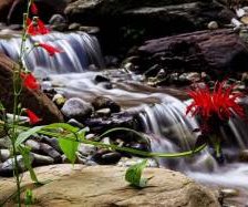 Схема вышивки «№304275»