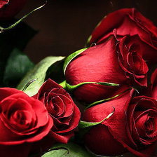 Схема вышивки «№304345»