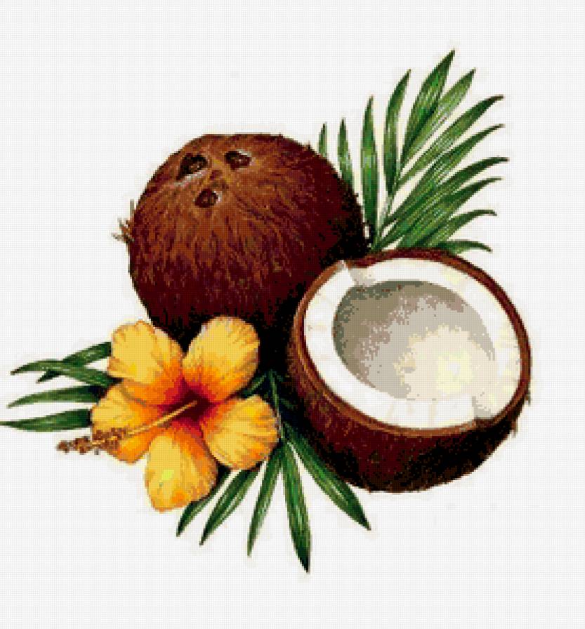 кокос - предпросмотр