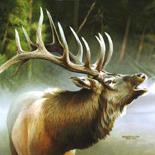 Схема вышивки «Лесной олень»