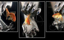 Схема вышивки «Триптих»