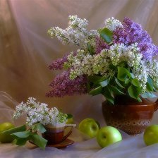 Схема вышивки «СИРЕНЬ»