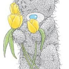 Схема вышивки «ТЕДДИ»