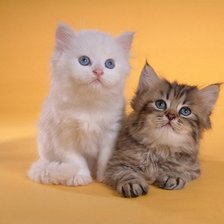 Схема вышивки «№304486»