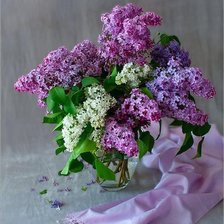 Схема вышивки «Сирень»