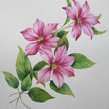 Схема вышивки «№304595»