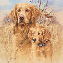 Схема вышивки «№304677»