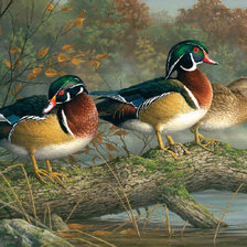 Схема вышивки «картина»