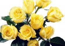 Схема вышивки «№304720»