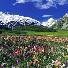 Схема вышивки «Горы Новой Зеландии»