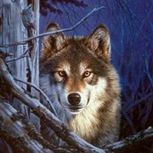 Схема вышивки «№304954»