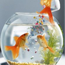 Схема вышивки «№304962»