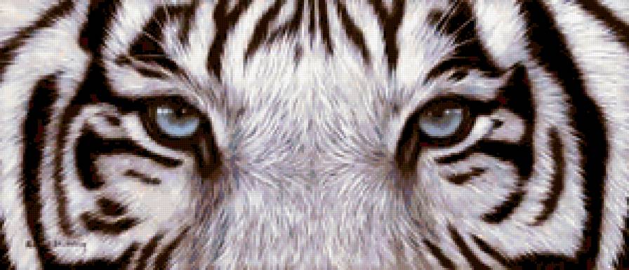 №304969 - предпросмотр