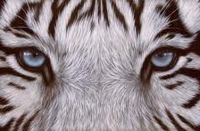 Схема вышивки «№304969»