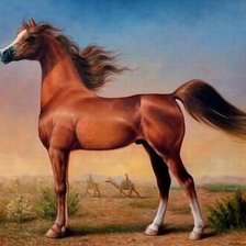 Схема вышивки «№304972»