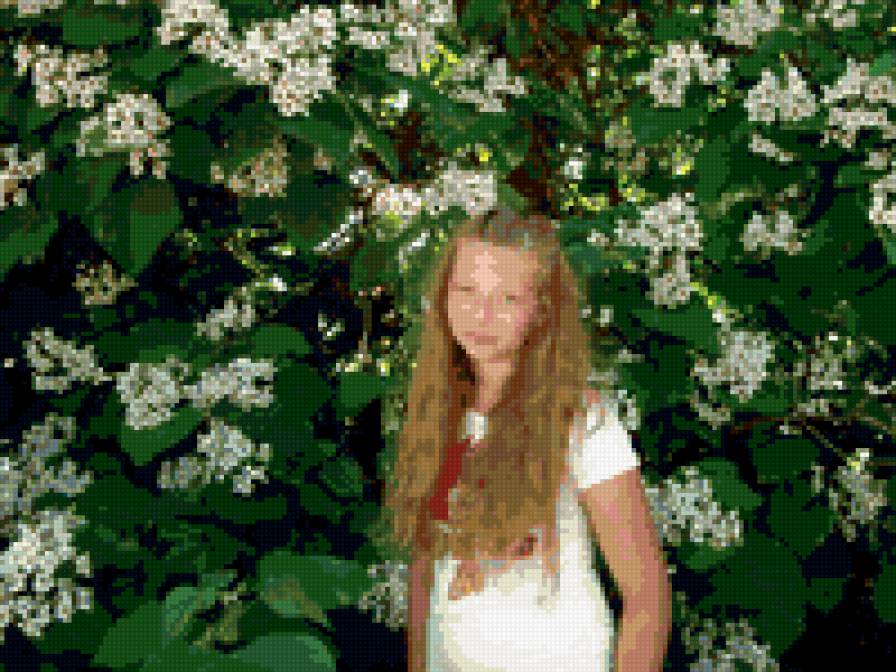 Доча - предпросмотр