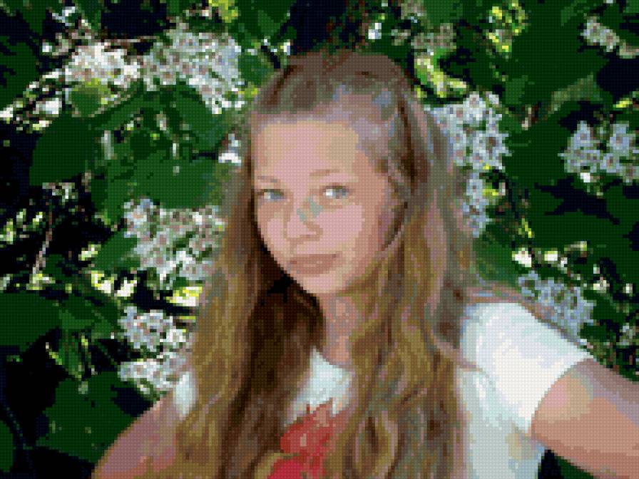 Доча - предпросмотр