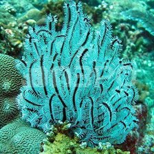 Схема вышивки «Подводный мир»