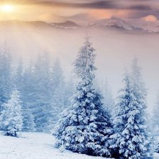 Схема вышивки «Закат в зимнем лесу»