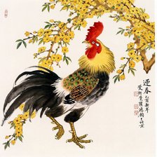 Петух Прованса