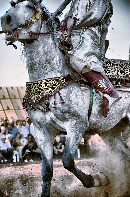 Восточный воин - конь - оригинал