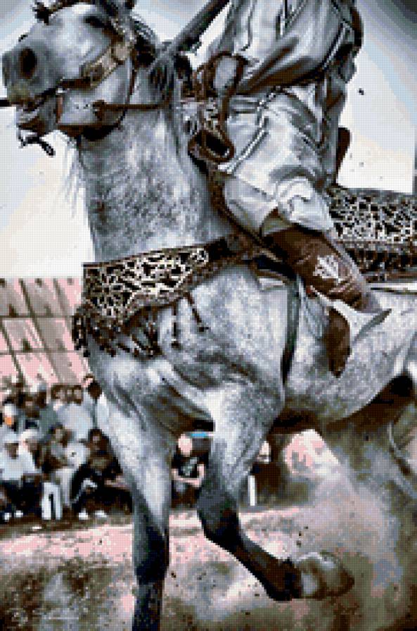 Восточный воин - конь - предпросмотр