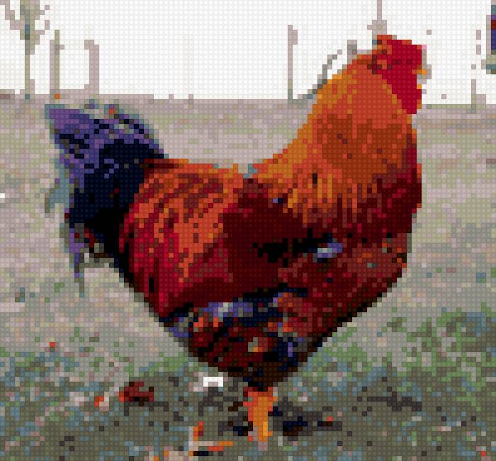 Русский петух - предпросмотр