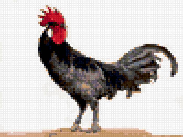 Петух прованса 2 - предпросмотр