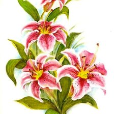 Схема вышивки «лилии»