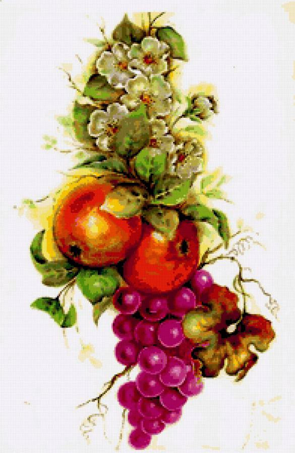 натюрморт - предпросмотр