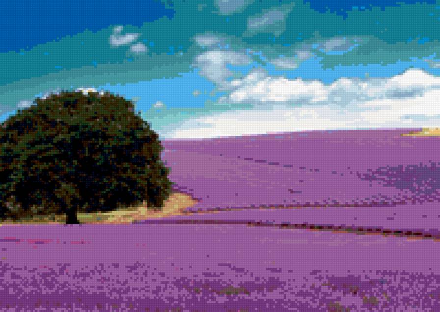 Лавандовые поля, прованс,франция - предпросмотр