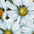 Предпросмотр схемы вышивки «ромашки» (№305339)