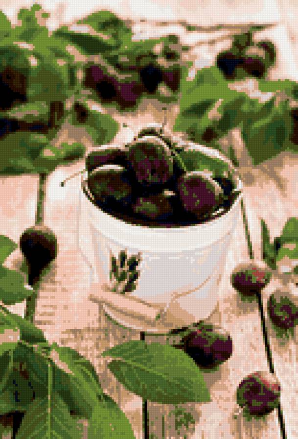 Вишни - ягоды, вишни, лето - предпросмотр