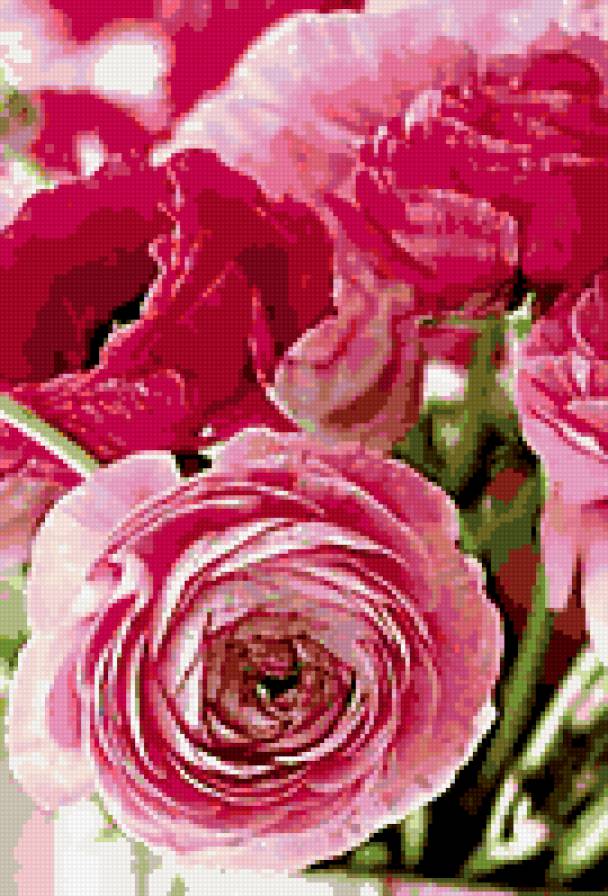 Бутоны пионов - бутон, пионы - предпросмотр