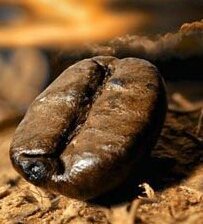 Схема вышивки «Кофе»