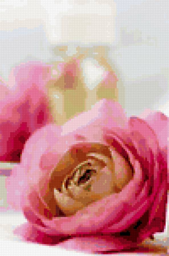 бутон - бутон - предпросмотр