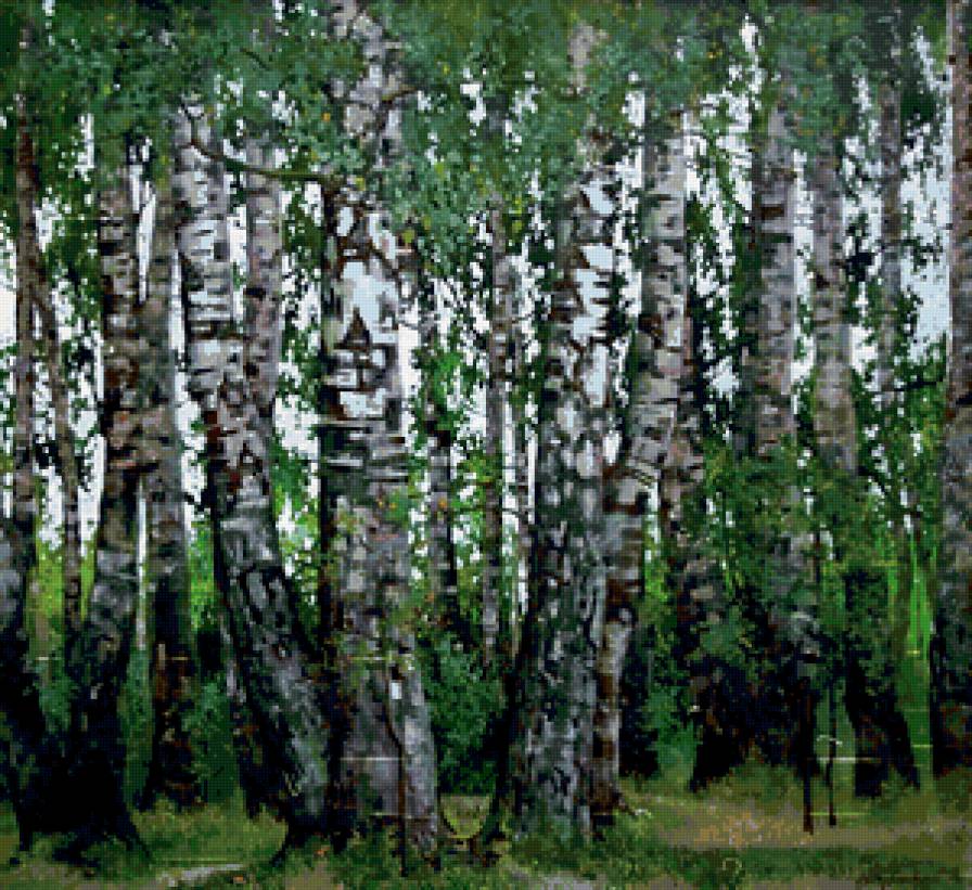 Березки - деревья, картины, лес - предпросмотр