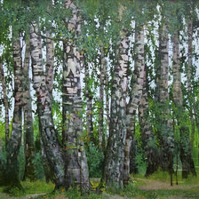 Схема вышивки «Березки»