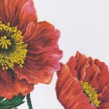 Схема вышивки «№305603»