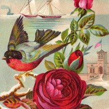 Схема вышивки «№305717»