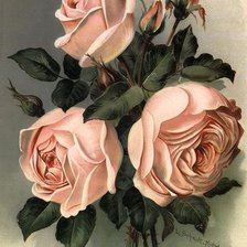 Схема вышивки «№305730»